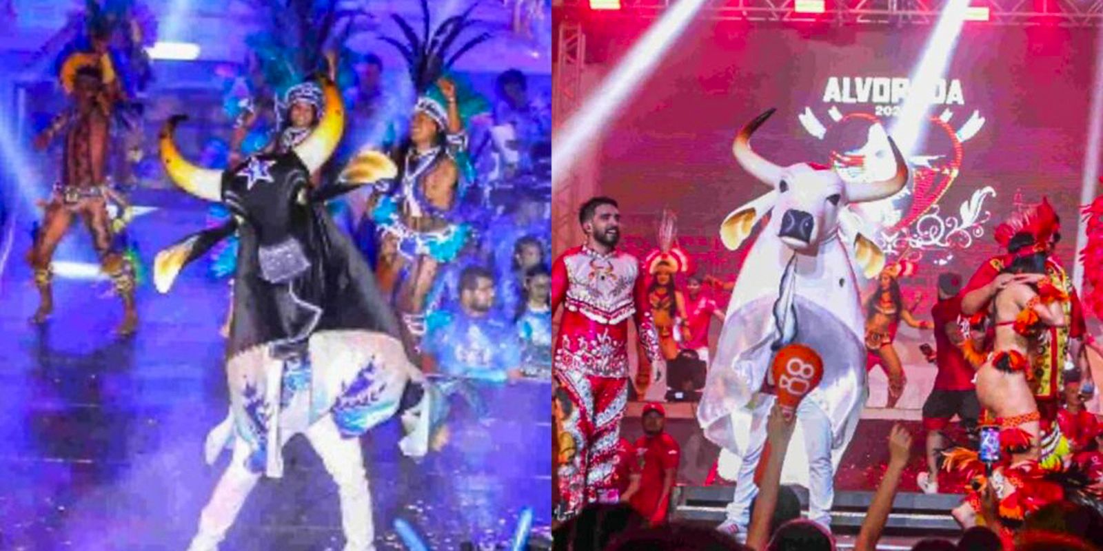 Justiça suspende venda de ingressos para o Festival de Parintins 2026