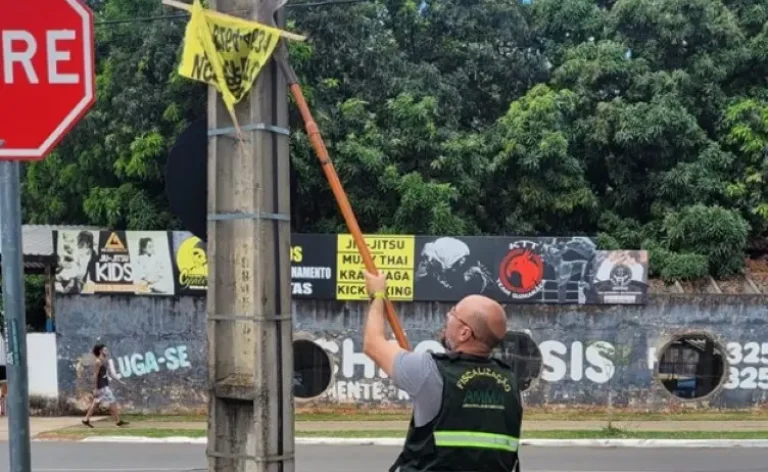 1768575680-cfd888ea-71fb-4860-b756-3fd78720c94d