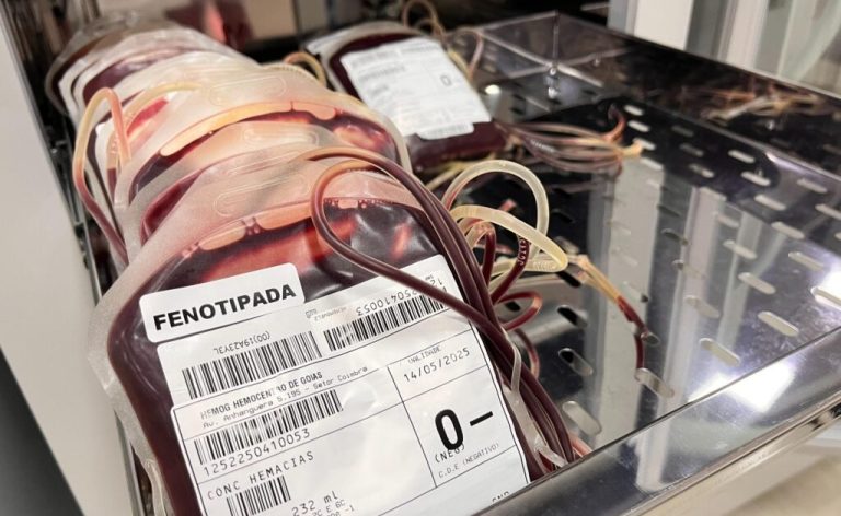 Doação de sangue na Rede Hemo
