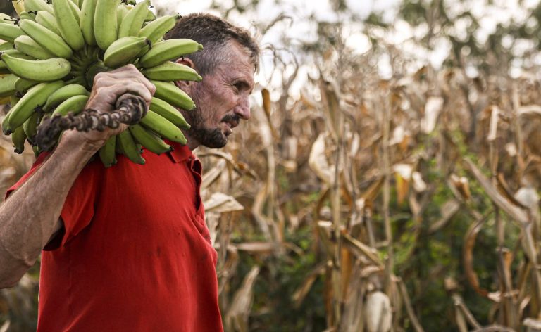 Câmara aprova uso de recursos do FGO em operações do Pronaf