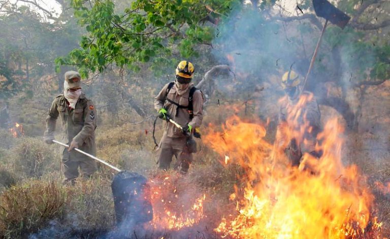 Governo lança chamada pública para projetos que visam prevenir incêndios no Cerrado