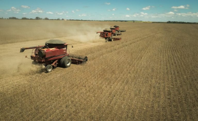 Goiás atinge superávit de R$ 5,5 bilhões na balança comercial