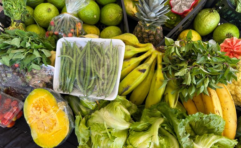 Governo de Goiás beneficia mais de 2 mil produtores da agricultura familiar