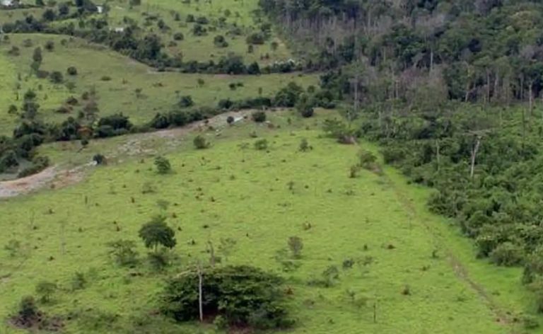 Governo prorroga prazo para georreferenciamento de imóveis rurais