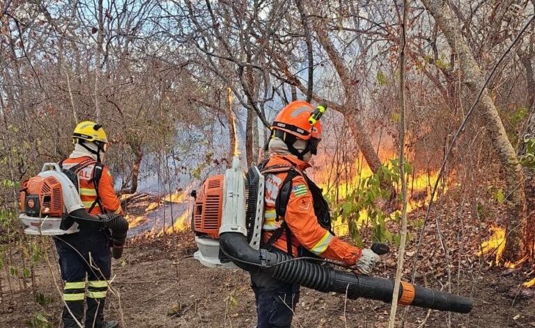 Identificados autores de incêndios de quase 90 mil hectares