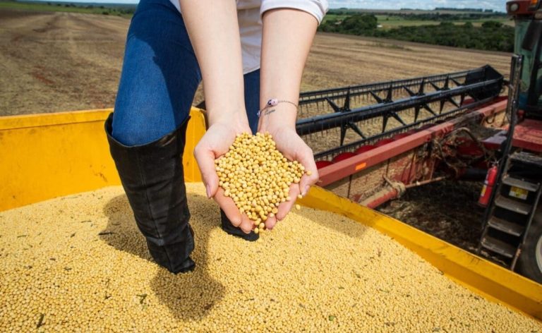 Impulsionado pelo agronegócio e indústria, PIB de Goiás cresce 4,8% em 2023 e supera média nacional – Portal Goiás