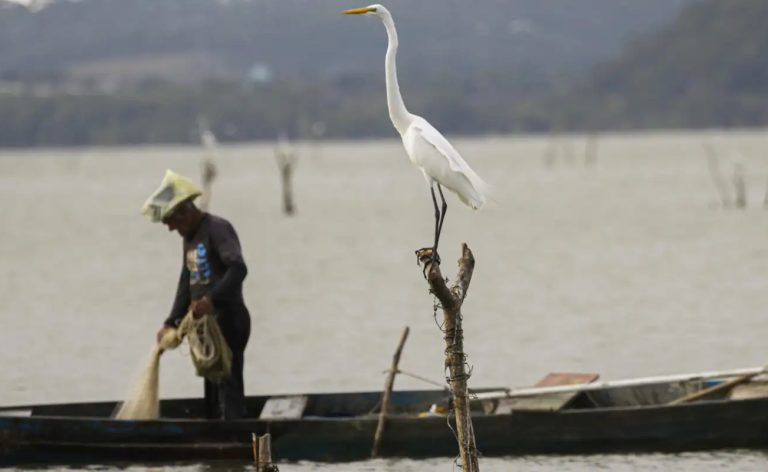 Mudanças aprovadas para o seguro-defeso previnem fraudes, diz relator