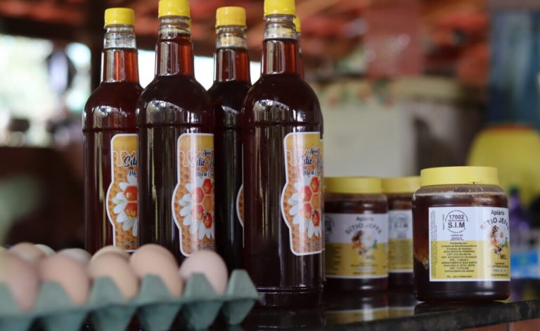 Termina nesta quinta-feira prazo para cadastro em projeto de melhoria de agroindústrias do Governo de Goiás