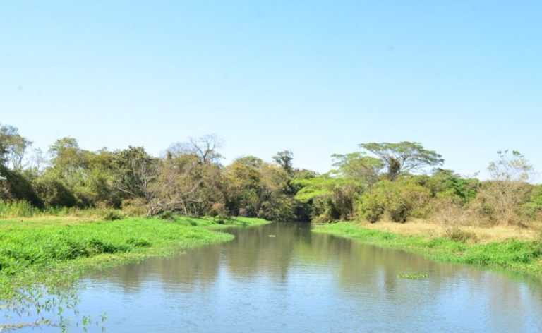 Meio Ambiente: detentores de outorgas devem atualizar dados