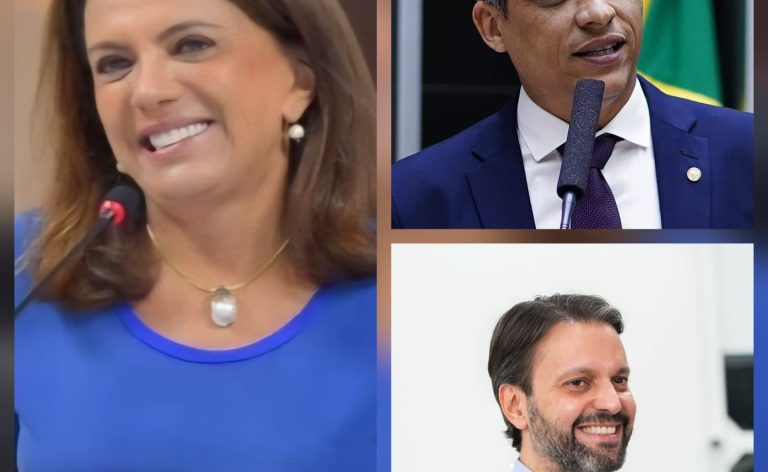 liderança senado