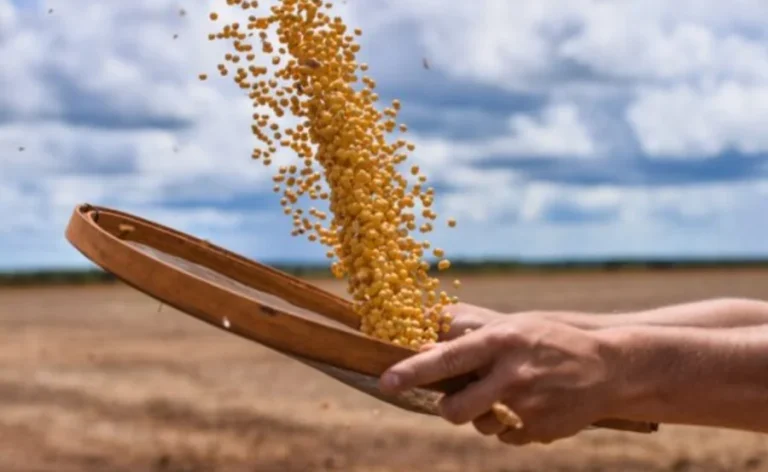 soja-agronegocio-600x400-1